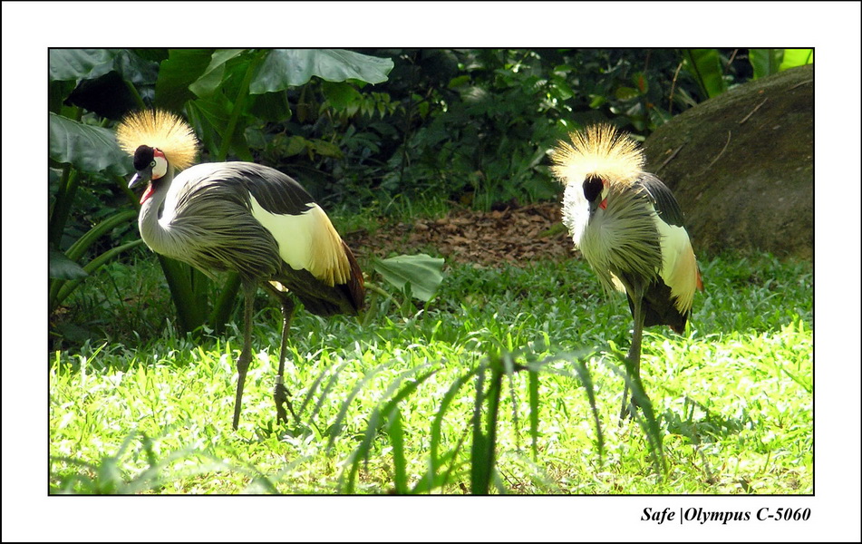 2005 - 06 - Zoo 026.JPG